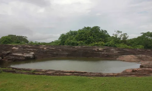 Largest Pond I