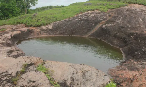 Pond III